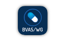 Skala BVAS/WG